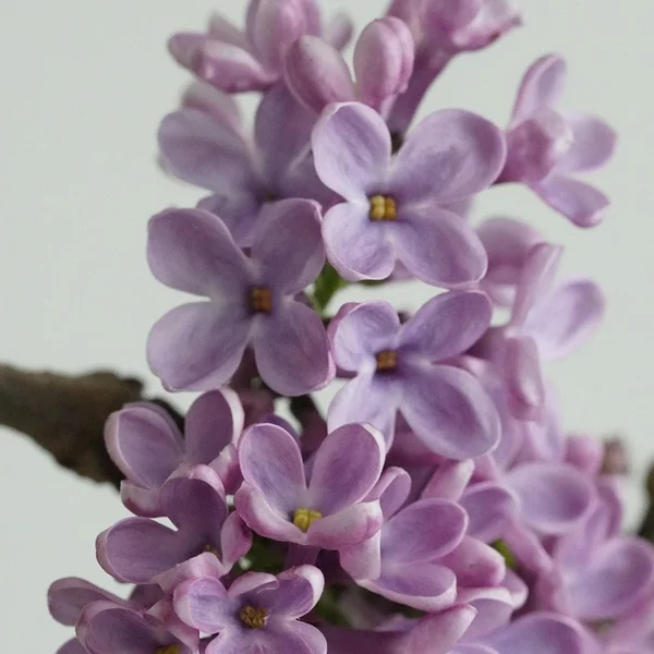 c7娱乐百家乐游戏